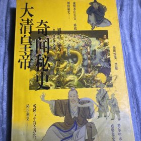 大清皇帝奇闻秘史 京华