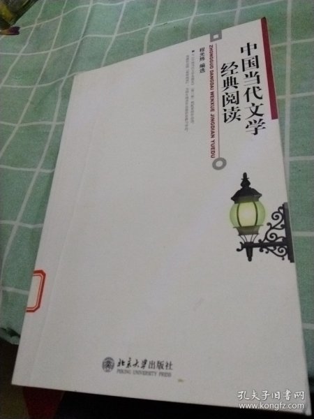 中国当代文学经典阅读
