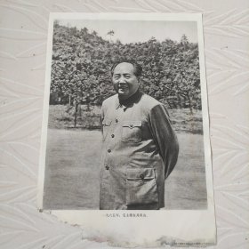 毛主席图像宣传画，1965年，毛主席在井冈山，品相如图边角有破损。