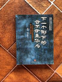 下一个倒下的会不会是华为：任正非的企业管理哲学与华为的兴衰逻辑