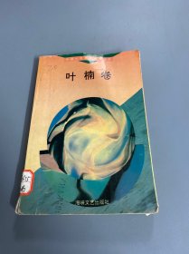 中国小说名家新作丛书.叶楠卷