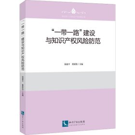 “一带一路”建设与知识产权风险防范