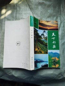 天下南岳（图文版，厚本）品相好