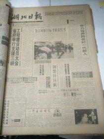 湖北日报1994年1月15日