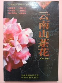 云南山茶花