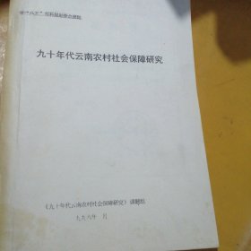 九十年代云南农村社会保障研究