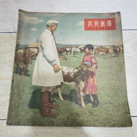 农民画报 1956年 七月号 总第4期