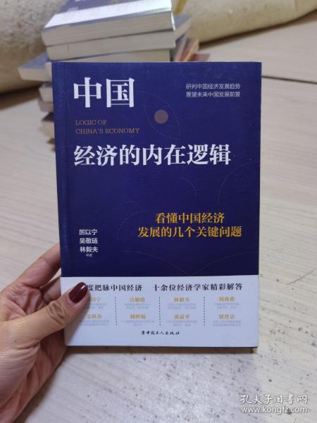 中国经济的内在逻辑：看懂中国经济发展的几个关键问题