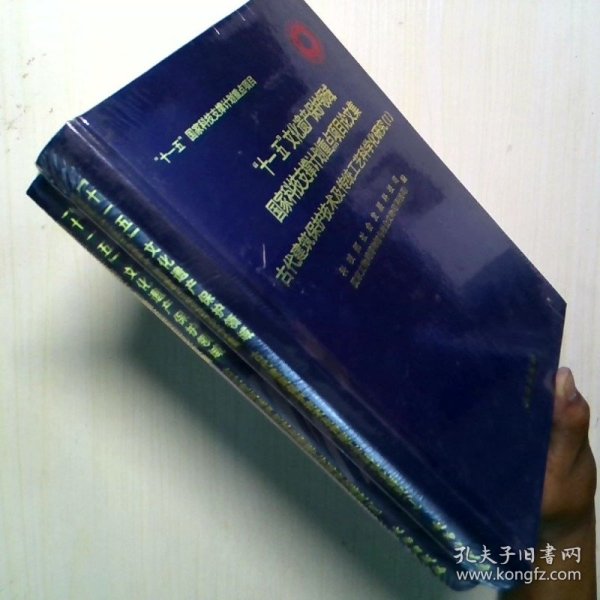 古代建筑保护技术及传统工艺科学化研究
