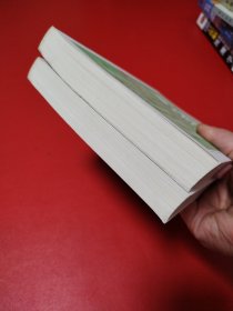 堂吉诃德 上下(看图拍)