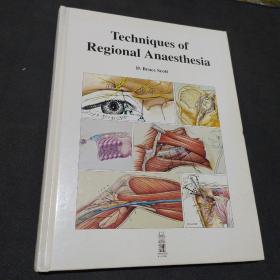 区域麻醉技术 Techniques of regional anaesthesia