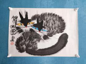 著名画家-赵江南精品绘画1幅.猫咪图。