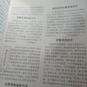 农业信息咨询试刊第一期，试刊第二期