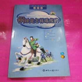 钢铁是怎样炼成的——小学生语文课外阅读丛书（注音版）