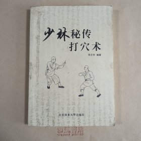 《少林秘传打穴术》
