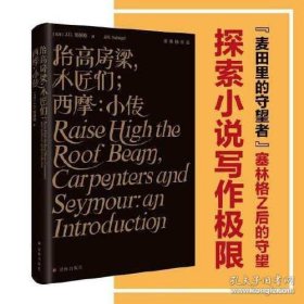 抬高房梁，木匠们；西摩：小传（塞林格作品集）