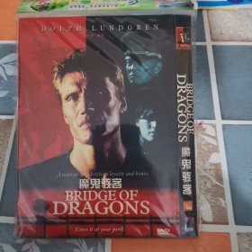 光盘DVD: 魔鬼骇客