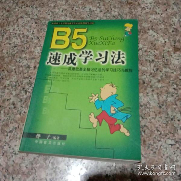 B5速成学习法:风靡欧美全脑记忆法的学习技巧与教程