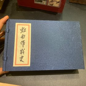 虹南作战史，32开宣纸，雪白