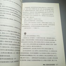 儿童文学金牌作家书系 牧铃“艰难的归程”系列-艰难的归程（修订版）