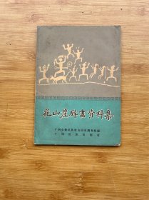 花山崖壁画资料集