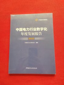 2023中国电力行业数字化年度发展报告 全新未拆封