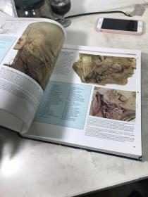 1984年COLOR ATLAS OF HUMAN ANATOMY 人体解剖彩色图集，伦敦大学解剖学教授联合主编，大16开357页精装