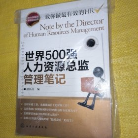 世界500强人力资源总监管理笔记：HR眼中的真实职场 教你洞悉职场智慧（全新未翻阅）