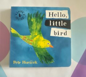 英文原版绘本 异形书 纸板书英文原版 Hello Little Bird 你好小鸟 petr horacek
