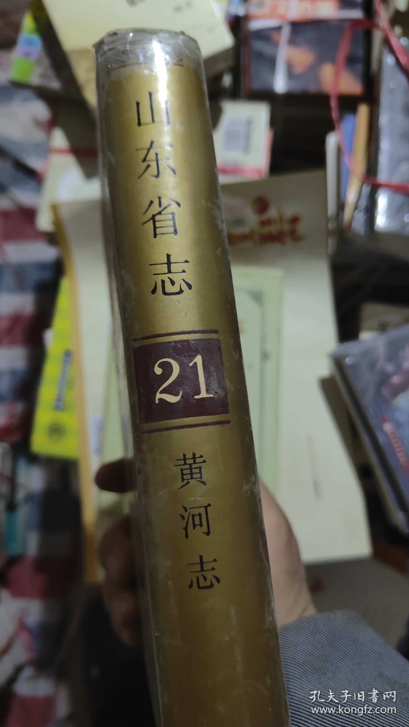 山东省志（21，黄河卷）