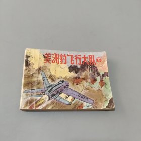美洲豹飞行大队