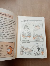 精编小学生十万个为什么第一系列（全4册）原盒装）