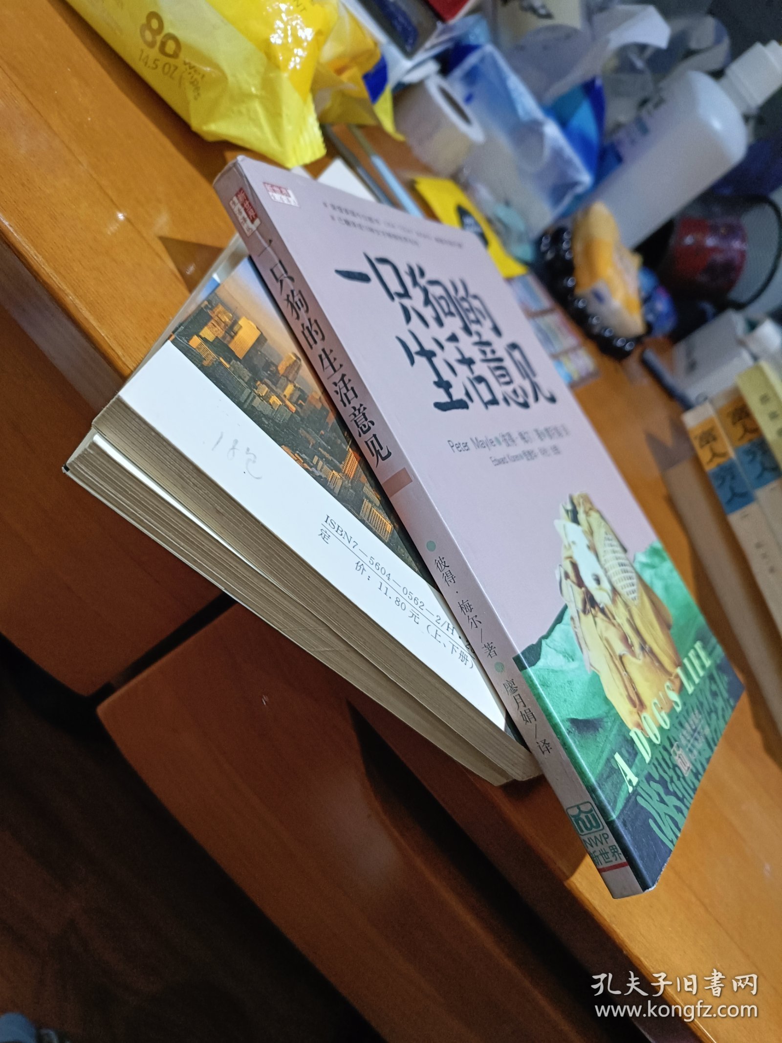 一只狗的生活意见