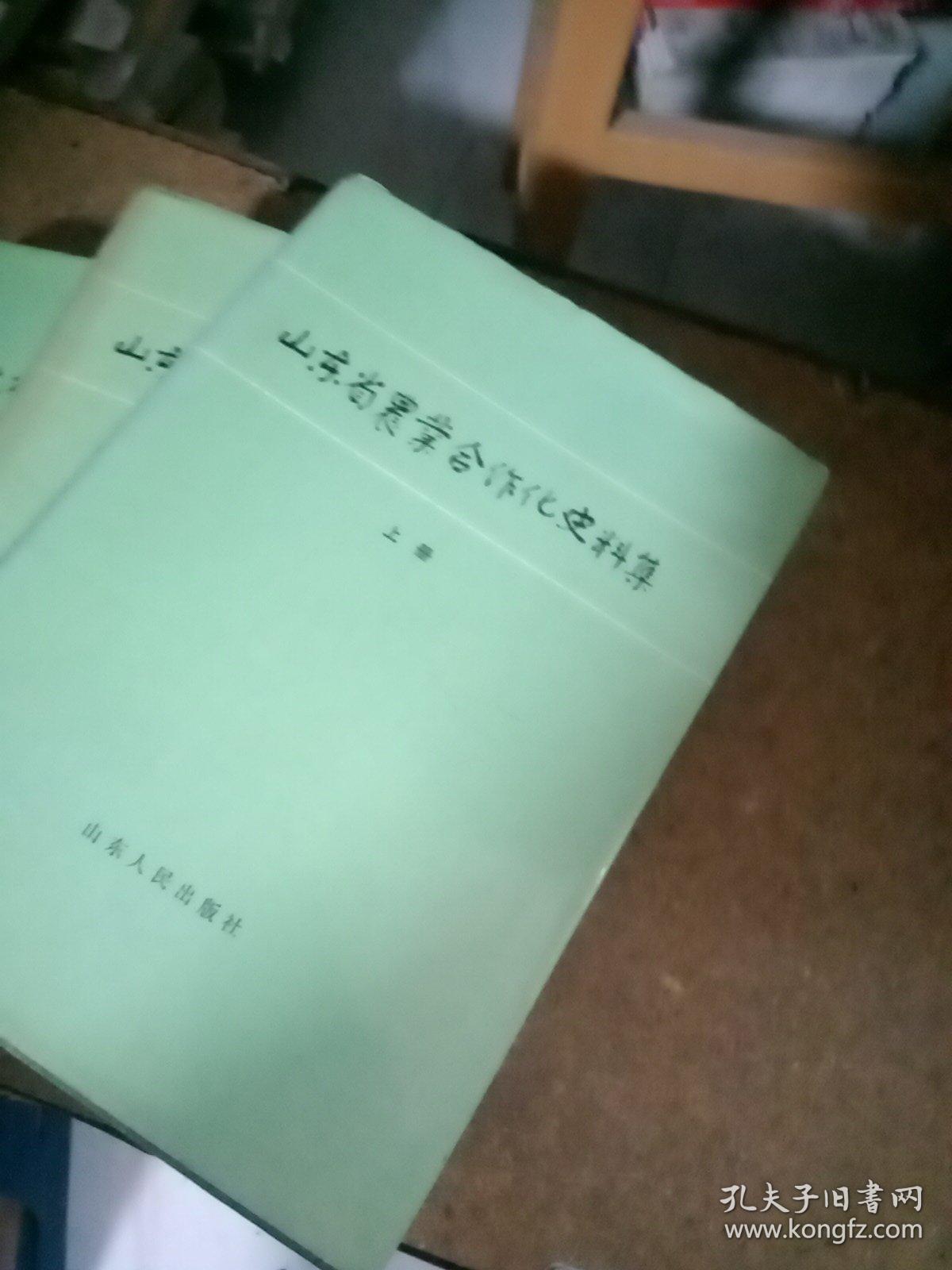 山东省农业合作化史料集（上下，续）