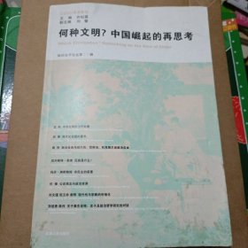 何种文明?中国崛起的再思考：知识分子论丛（第10辑）