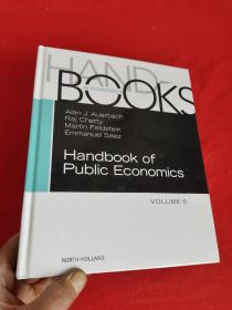 Handbook of Public Economics,   Volume 5     （ 16開，硬精裝 ） 【詳見圖】