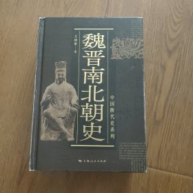 中国断代史系列：魏晋南北朝史