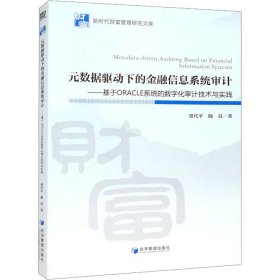 元数据驱动下的金融信息系统审计:基于oracle系统的数字化审计技术与实践 经济理论、法规 贾代，殷晨 新华正版