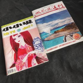 小小说选刊/微型小说选刊2015 9 二本共售