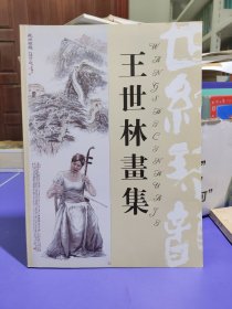 王世林画集（江苏连云港人）
