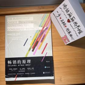 畅销的原理：为什么好观念、好产品会一炮而红？