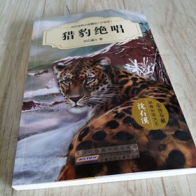 沈石溪/中外动物小说精品（升级版）：猎豹绝唱
