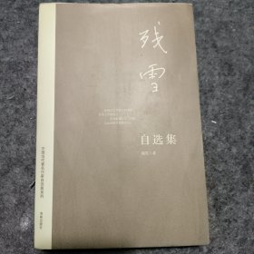 残雪自选集：中国当代著名作家自选集系列