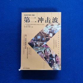 第二冲击波:从东南亚金融风暴到全球经济大变局