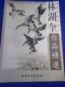 林湖奎作品精選