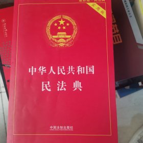 中华人民共和国民法典 2020年6月新版