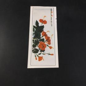 萧淑芳-花卉画②