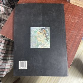 王雄飞画集——中国岩彩画开拓者