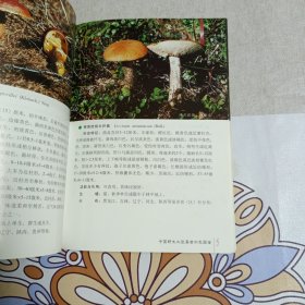 中国野生大型真菌彩色图鉴1