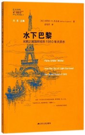 水下巴黎(光明之城如何经历1910年大洪水)/同一颗星球 9787214215529 (美)杰弗里·H.杰克逊|总主编:刘东|译者:姜智芹 江苏人民